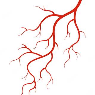 Blood vessels wallpaper