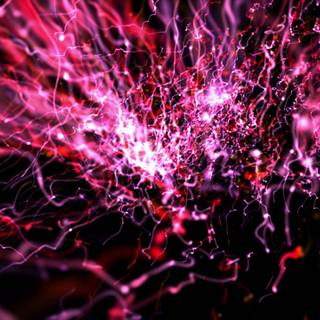 Blood vessels wallpaper