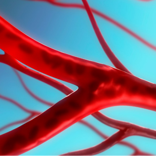 Blood vessels wallpaper
