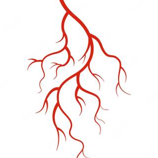 Blood vessels wallpaper