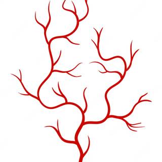 Blood vessels wallpaper