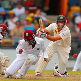 Mike Hussey wallpaper