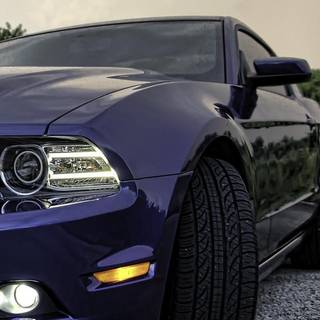 Purple Mustang wallpaper