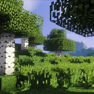 Minecraft tree wallpaper