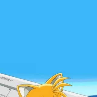 Cute Tails wallpaper