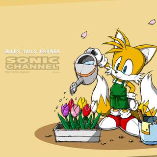 Cute Tails wallpaper