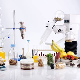 Food science wallpaper