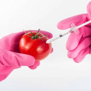 Food science wallpaper