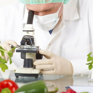 Food science wallpaper