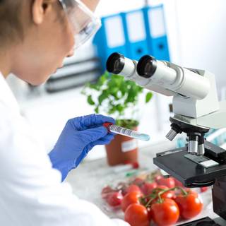 Food science wallpaper