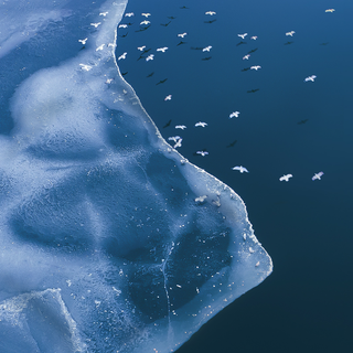 Nubia Red Magic 8 Pro wallpaper