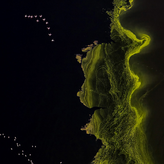 Nubia Red Magic 8 Pro wallpaper