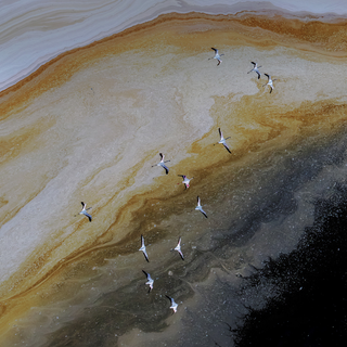 Nubia Red Magic 8 Pro wallpaper