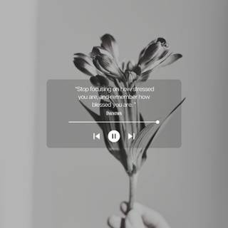 Stop caring wallpaper