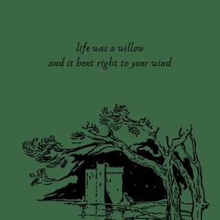 Taylor Swift green wallpaper