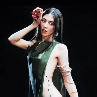 Caroline Polachek wallpaper