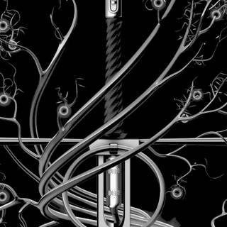 Caroline Polachek wallpaper