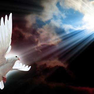 Bible and Holy Spirit wallpaper