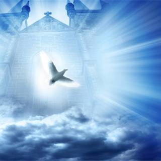 Bible and Holy Spirit wallpaper