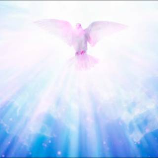 Bible and Holy Spirit wallpaper