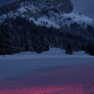 Amoled winter nature wallpaper