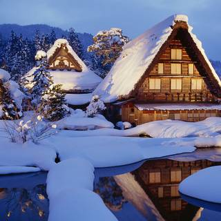 Amoled winter nature wallpaper