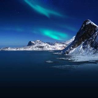 Amoled winter nature wallpaper