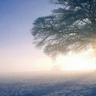 Amoled winter nature wallpaper