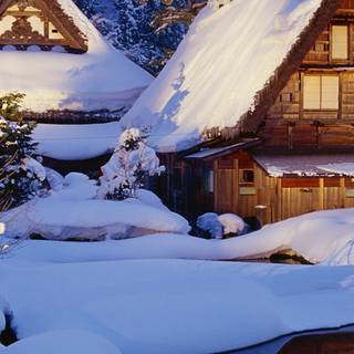 Amoled winter nature wallpaper