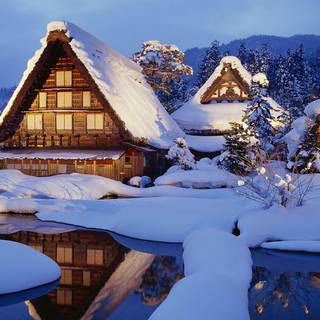 Amoled winter nature wallpaper