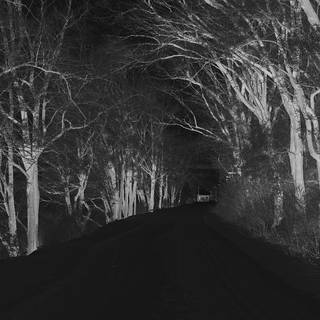 Amoled winter nature wallpaper