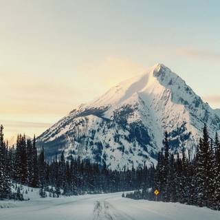 Amoled winter nature wallpaper