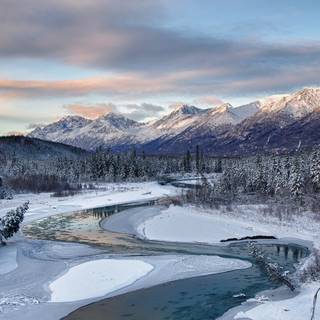 Alaska winter frost wallpaper