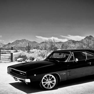Dodge Challenger 1969 wallpaper