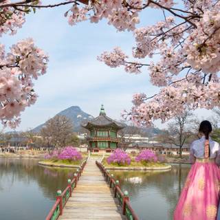 Spring Seoul wallpaper
