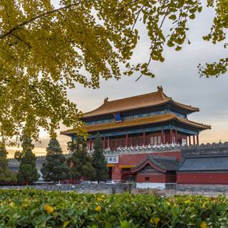 Spring Bejing wallpaper