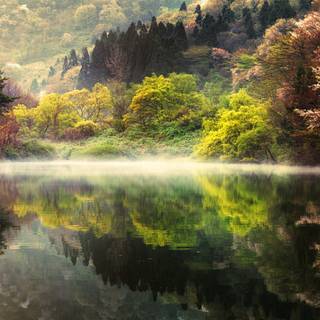 Spring Seoul wallpaper