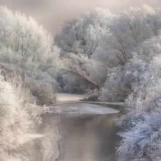 Alaska winter frost wallpaper