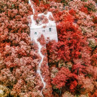 Spring Bejing wallpaper