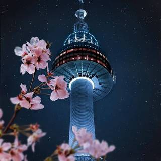 Spring Seoul wallpaper