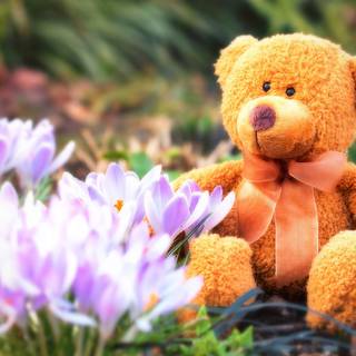 Spring bears wallpaper