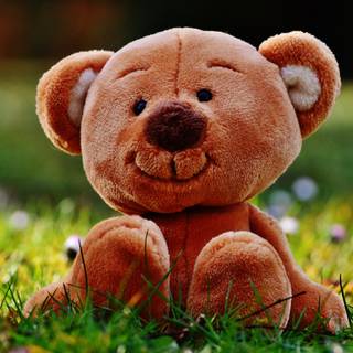 Spring bears wallpaper