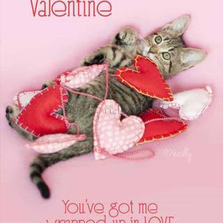 San Valentines 2023 wallpaper