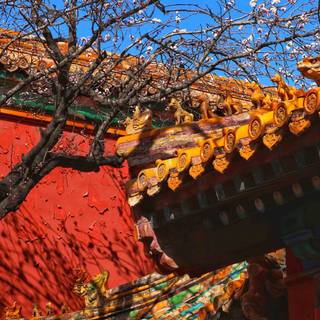 Spring Bejing wallpaper