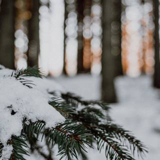 iPhone Ireland winter wallpaper