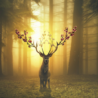 Digital spring art wallpaper