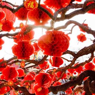 Spring Bejing wallpaper