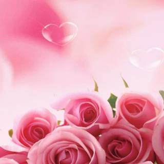 Valentine flowers vertical wallpaper