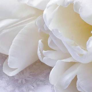 Valentine flowers vertical wallpaper