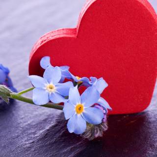 Valentine flowers vertical wallpaper